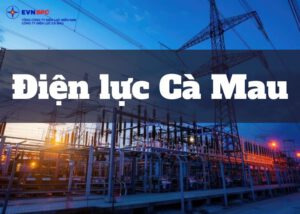 điện lực cà mau