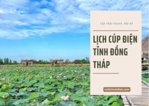lịch cúp điện tỉnh Đồng Tháp
